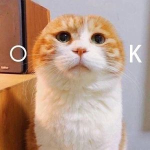 Meet your Posher, Yang